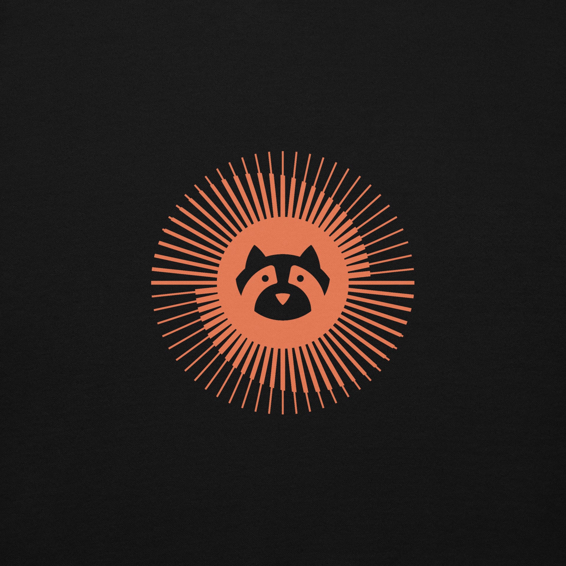 Resolute Raccoon Hoodie - Image 4