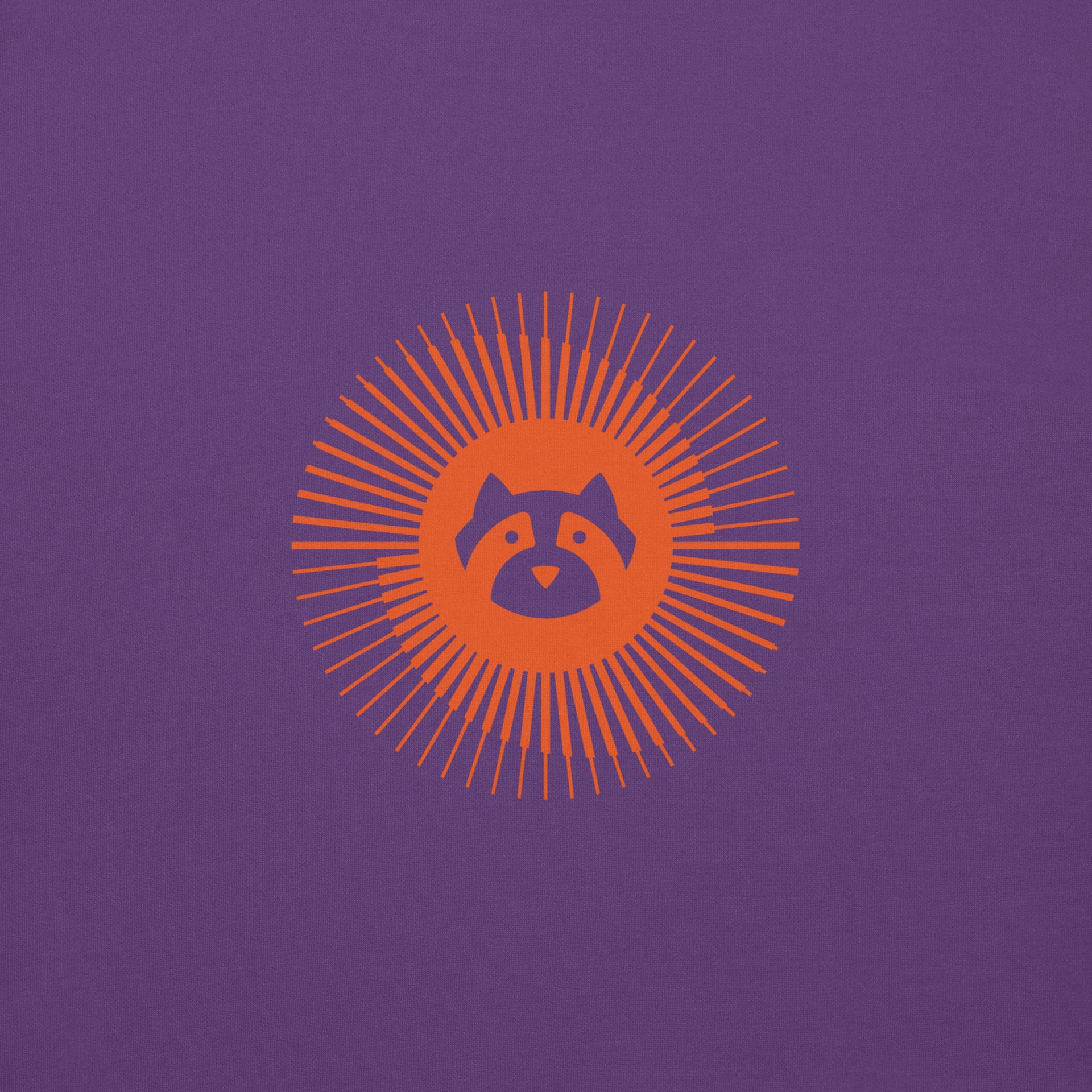 Resolute Raccoon Hoodie - Image 19