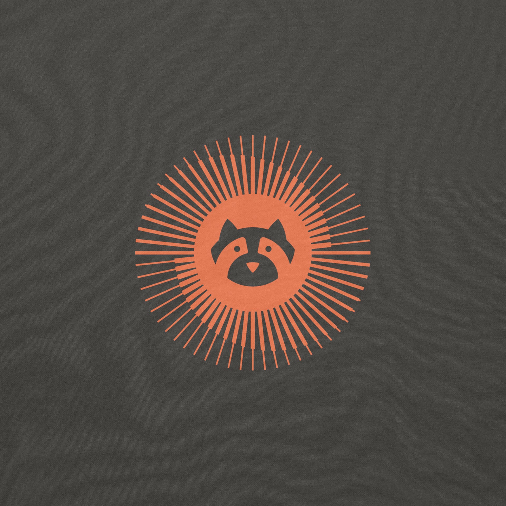 Resolute Raccoon Hoodie - Image 15