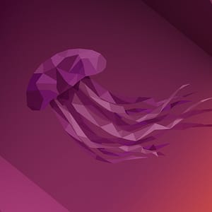 Jammy Jellyfish